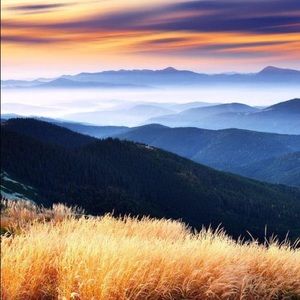 Meet your Posher, Jorge